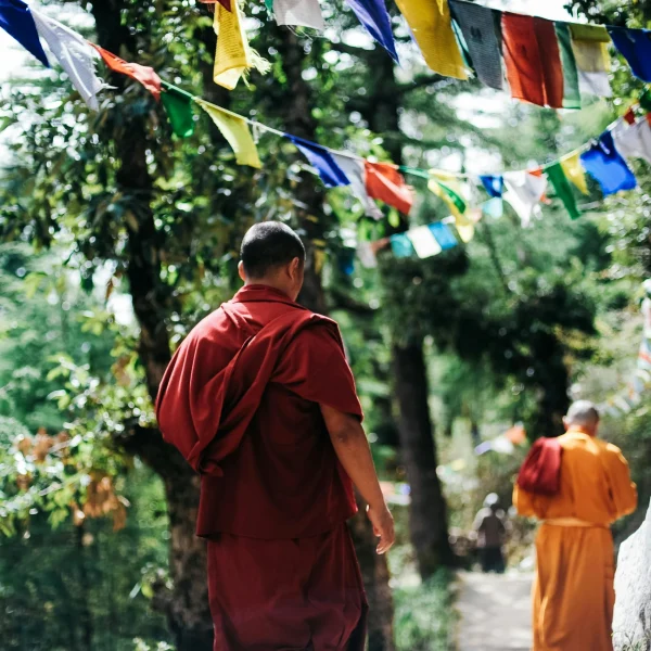 pexels-dejongwout-750895